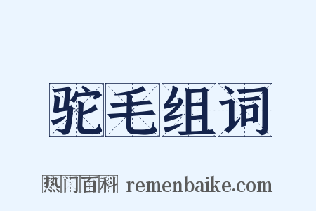 驼毛组词是什么意思的图片